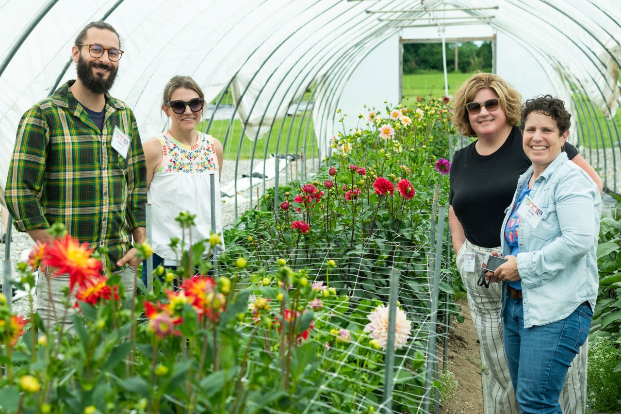 Four adults gathering a garden hoop house filled with dahlias