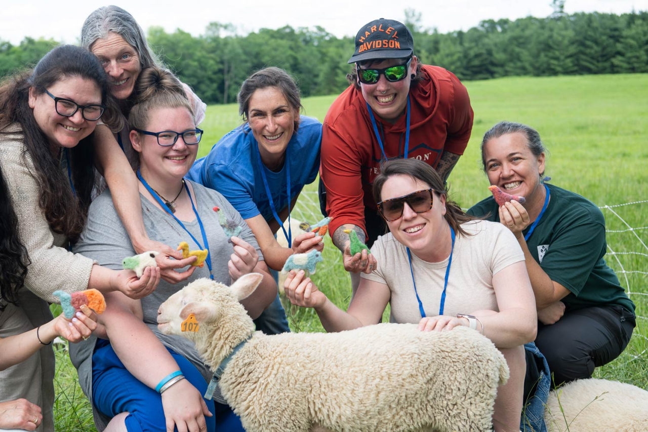 Educators gather around a lamb, smiling and holding felted figurines.