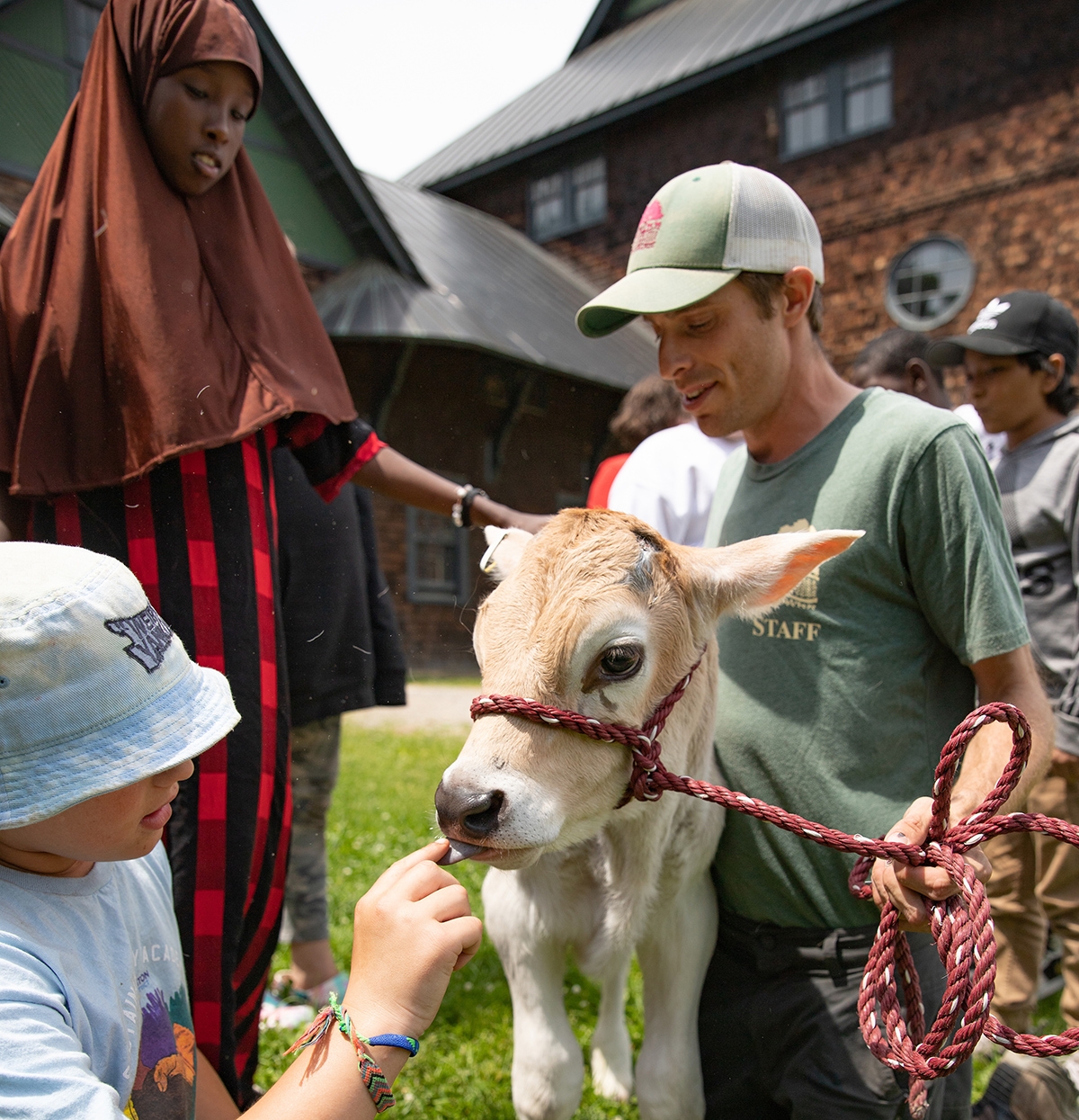 Children pat calf with educator