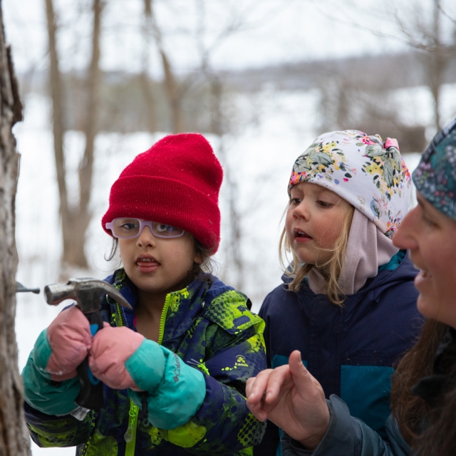 Two children and an adult tap a maple tree.