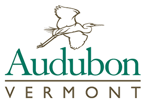 Audubon Vermont logo