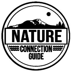 Nature Connection Guide logo