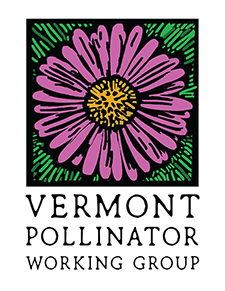 Logo with illustration of a purple flower reads "Vermont Pollinator Working Group."