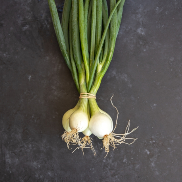 a bunch of spring onions against a slate-colored background.
