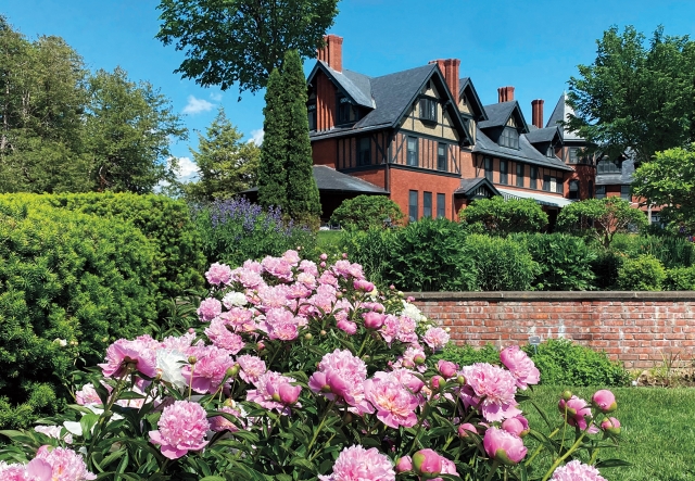 peonies in foreground, brick wall of gardens and inn in background