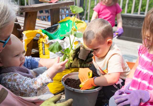 Young learners and an early educator put small squash plants in a pot full of soil