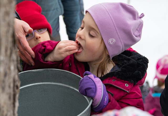 girl licking sap off bare fingers while holding onto sap bucket hooked to a tree