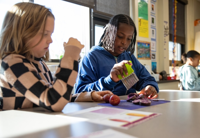 Two students at a desk in a classroom, working on a cooking project with potatoes.