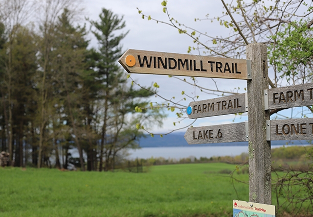 A wooden signpost with trail signs on a lush green landscape