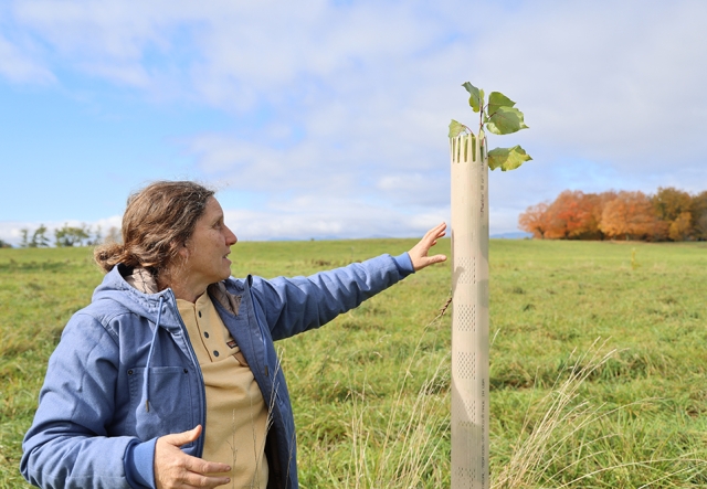 woman in field pointing at young tree with a plastic tube around it.