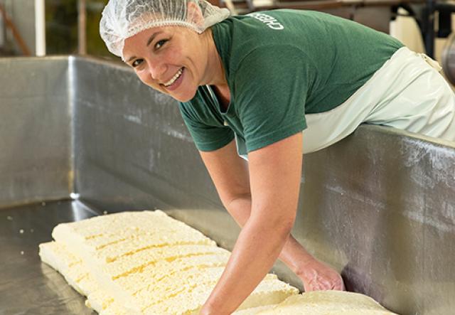 Cheesemaker Andi Wandt smiles while stacking blocks of cheddar curd in a metal vat