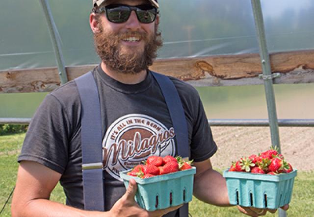 bearded man in hat and sunglasses holding pints of strawberries