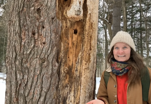 Woman next to a large tree trunk