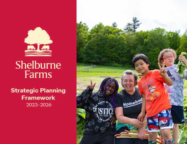 cover of our strategic plan
