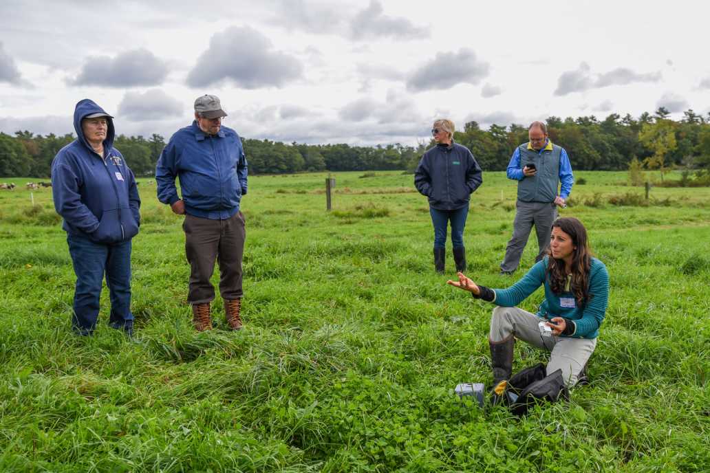 Farm-based educators stand in a green pasture.