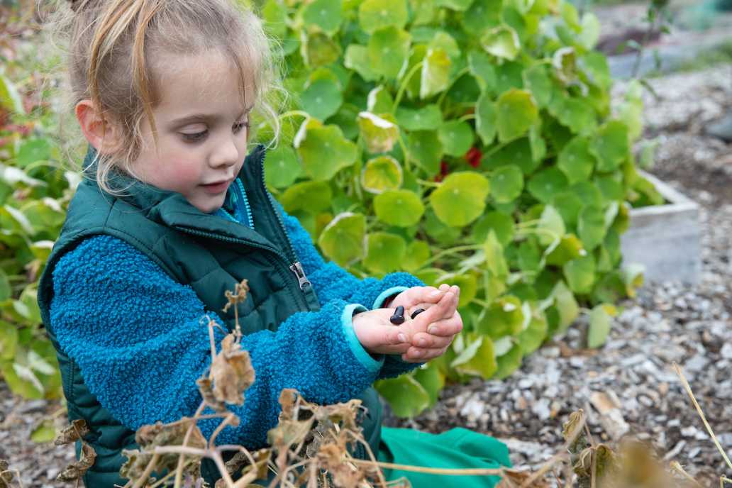 child holding seeds