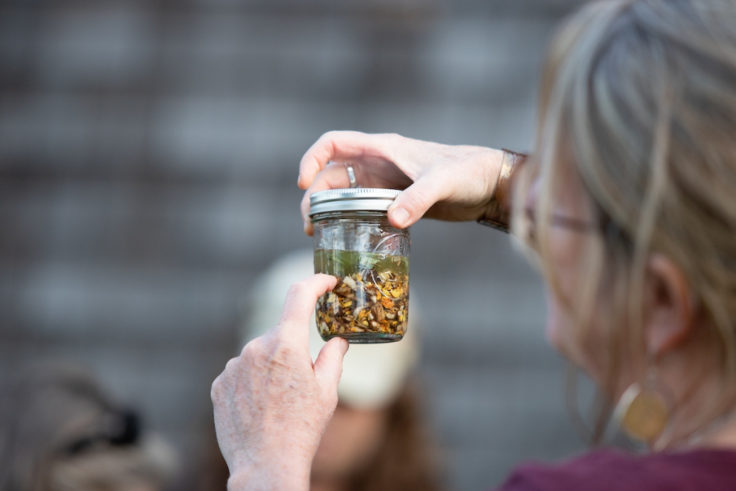 herbs in jar