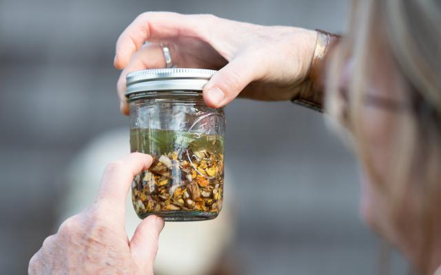 A person holds up a lidded glass jar, full of herbal ingredients and steeped in a clear liquid.