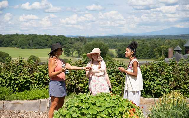 Three women inspect freshly picked flowers in a garden with sweeping views of rolling hills and mountains in distance
