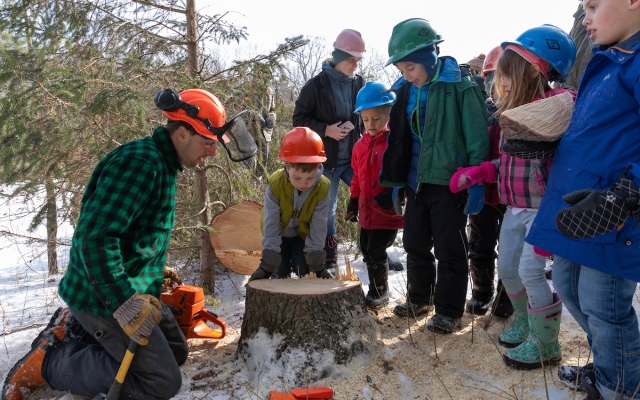 kids looking at fallen tree