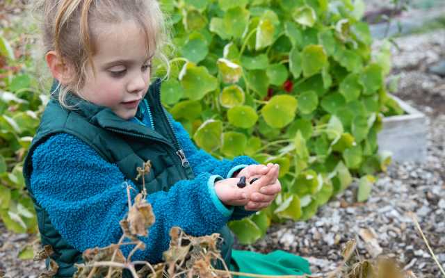 child holding seeds