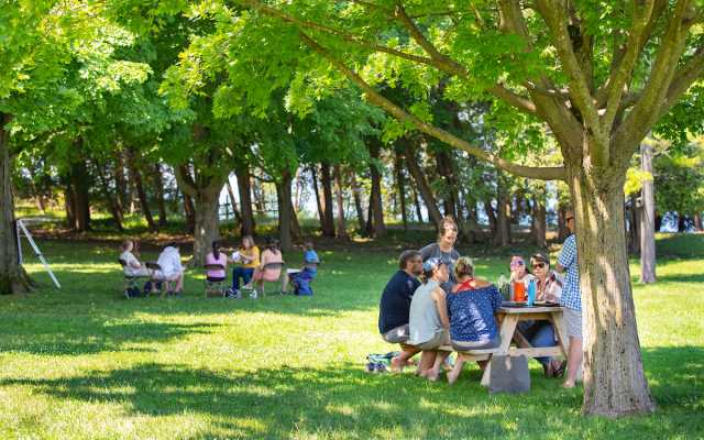 People enjoying meals and conversations at picnic tables in an outdoor setting with lush green trees.