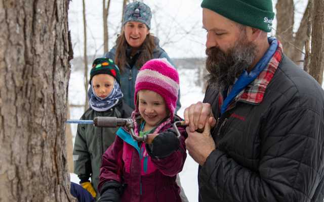 a young learner learns how to tap a maple tree