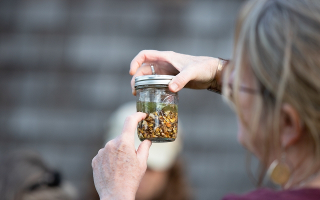 herbs in jar