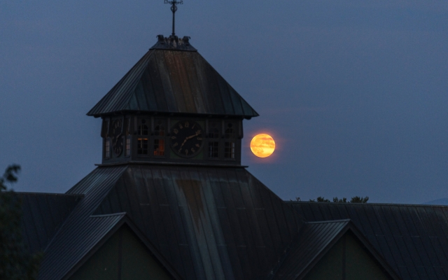 moon at owl campfire