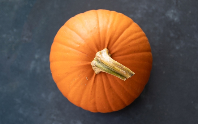 photo of pumpkin