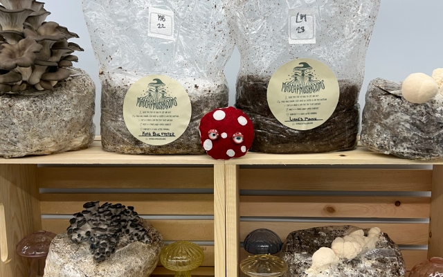 bag of mushrooms