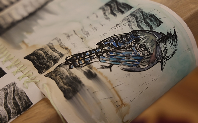 An illustration of a blue jay