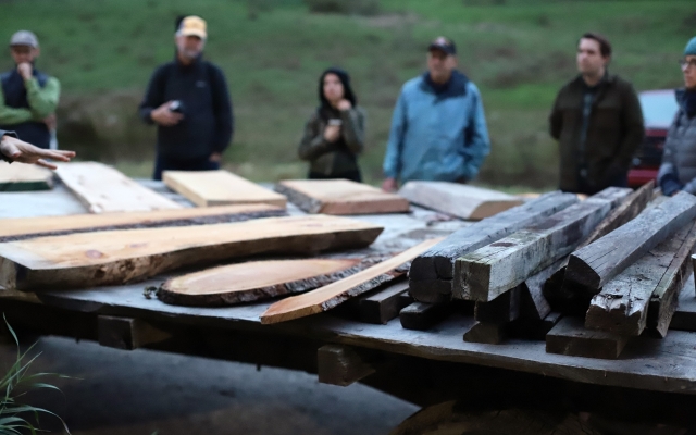people looking at wood for building