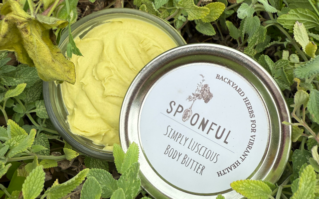 herbal salve