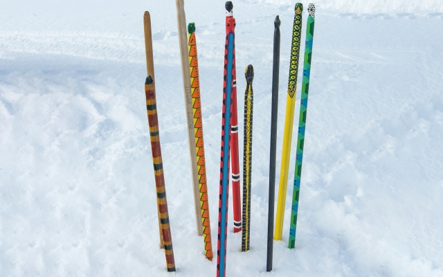 Snow Snakes - Diane Stevens Photography