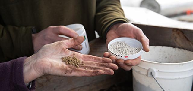 An outstretched hand covered in dirt holds seeds toward another person, who holds a seed container.