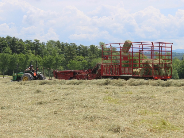 Baling. Our square baler gathers the hay, makes bales, and shoots them out into a hay rack pulled along behind the baler.