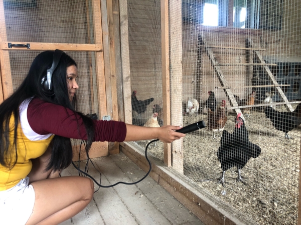 A student records a chicken; capturing soundscapes was a part of documenting their experience (photo: Courtney Mulcahy)