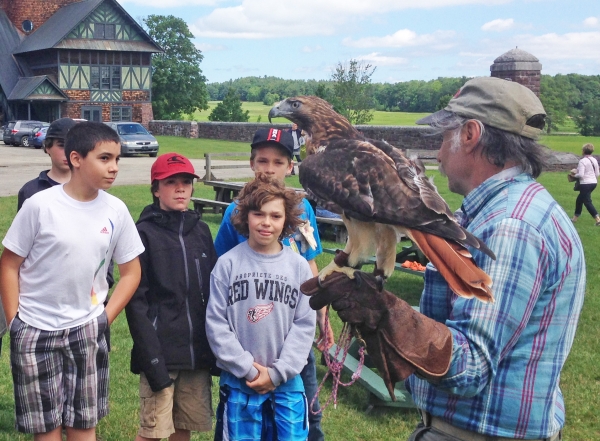 Abbey, a red-tailed hawk, occasionally entertains and educates visitors to the Farm Barn in the summer