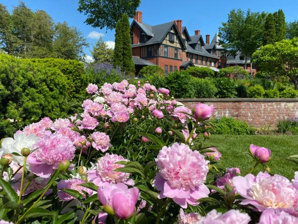 Shelburne Farms inn with pink peonies in foreground
