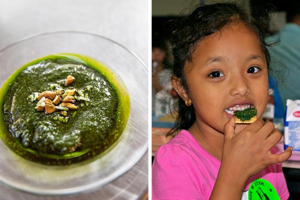 Kale Pesto & a student taste test at the Sustainability Academy's Kale Celebration, 2015.