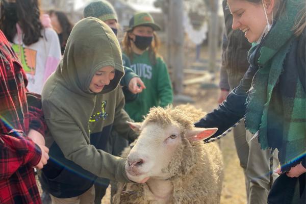 Students and educators pet Shelburne Farms' education sheep at Sustainability Academy in Burlington