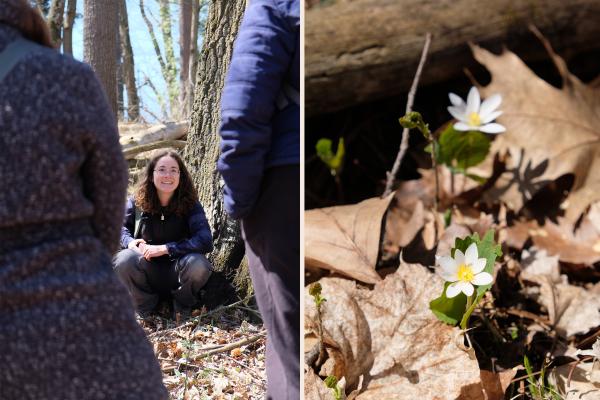 Left: In late April, educator and UVM Field Naturalist Hayley Kolding led a spring ephemerals walk at Shelburne Farms. Itâs a beautiful time of year to take a walk of your own, at the farm or in your own backyard. Right: Bloodroot in bloom. Photos by Andrea Estey.