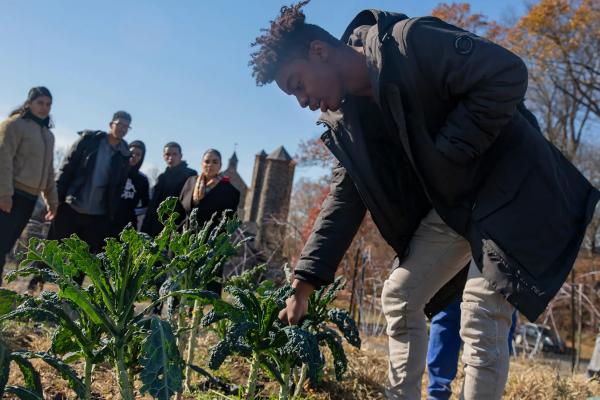 Students from the High School for Environmental Studies try kale at the Stone Barns Center for Food & Agriculture. Calla Kessler/The New York Times