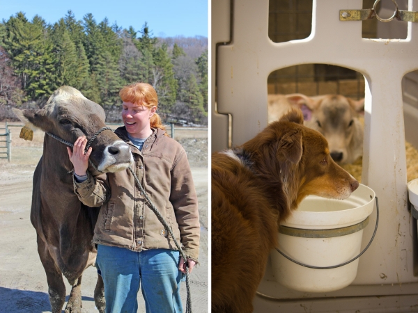 Renee LaCoss with her favorite cow, Daisy (left). Renee's dog, Dakota (right).