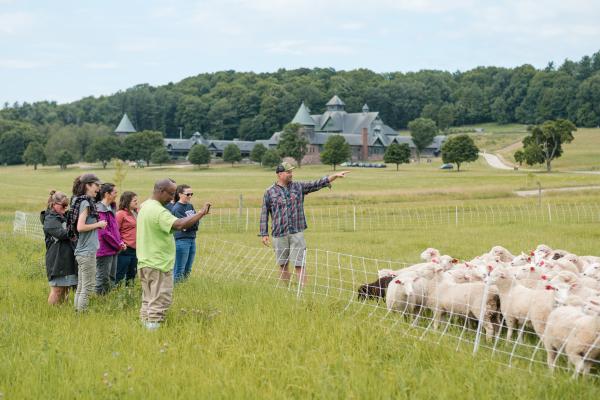 Instructor in field with adult learners, pointing to nearby sheep, Farm Barn in distance