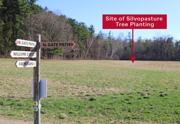 Walking trail sign in foreground and open pasture in background where trees will be planted.