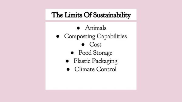 The concluding presentation slide from a student whose guiding question was, âWhat are the limits of sustainability?â