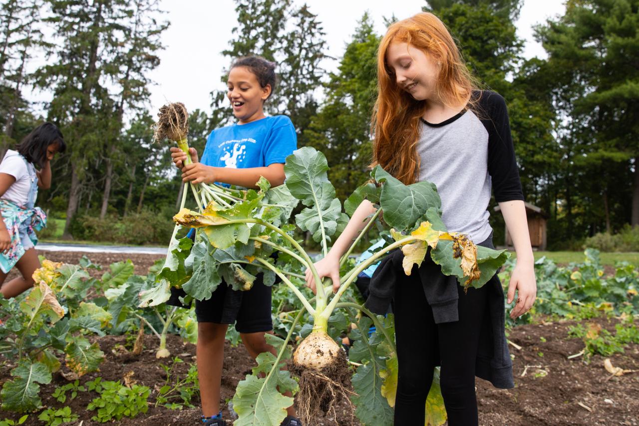 Two students smile as they harvest a giant turnip.