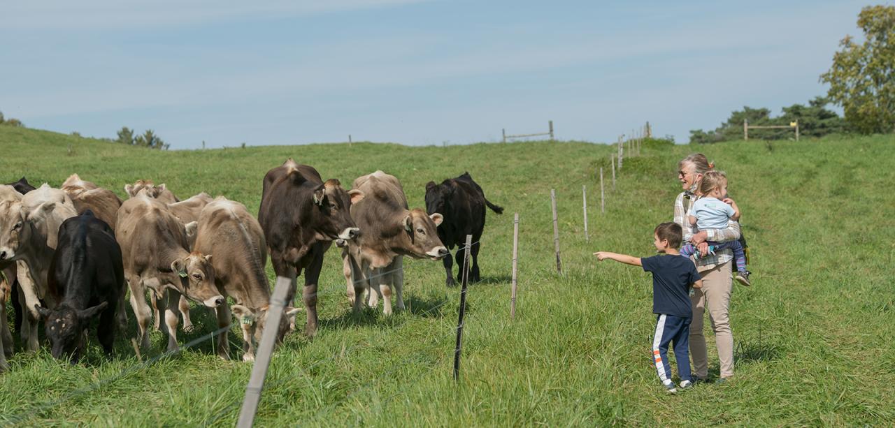 A woman and two children smile and look at cows grazing in a pasture behind a fence, surrounded by a rolling hill of green grass